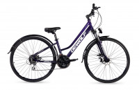 Велосипед Dewolf Asphalt 20 W 28 фиолетовый хамелеон/белый/серый рама: 14" (2022)