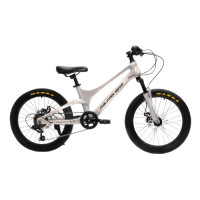 Велосипед Falcon Bike Mild 20" серый хамелеон (2025)