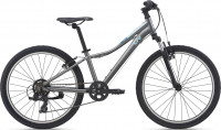 Велосипед Giant Liv Enchant 24 Dark Silver (2021)