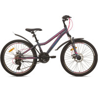 Велосипед Aist Rosy Junior 2.1 24" серый рама: OS (2026)