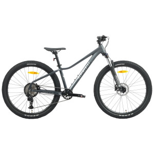 Велосипед Alpinebike Pegas 8 27" темно-серый (ETT 560) (2026) 