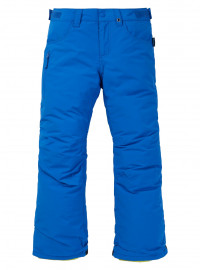 Брюки Burton Barnstorm lapis blue (2021)