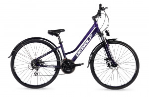 Велосипед Dewolf Asphalt 20 W 28 фиолетовый хамелеон/белый/серый рама: 14&quot; (2022) 