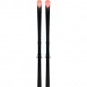 Горные лыжи Rossignol Hero Athlete GS R22 (170-182) без креплений (2027) - Горные лыжи Rossignol Hero Athlete GS R22 (170-182) без креплений (2027)