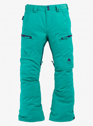 Брюки Burton Elite Cargo Pant dynasty green (2021) 