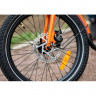 Велосипед Shulz Lentus 8 20 orange - Велосипед Shulz Lentus 8 20 orange