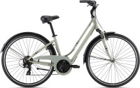 Велосипед Giant Liv Flourish FS 3 28" Desert Sage (2021)