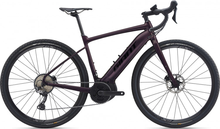 Giant revolt rosewood outlet