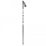 Палки горнолыжные Scott Sun Valley Poles black - Палки горнолыжные Scott Sun Valley Poles black