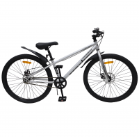 Велосипед Nameless Sport D 26" серебристый/черный рама: 12.4" (2026)