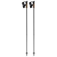 Палки горнолыжные Fischer GT 13 Carbon Mag OZ31123