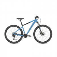 Велосипед Format 1412 29" синий-мат/черный-мат рама: L (2023)