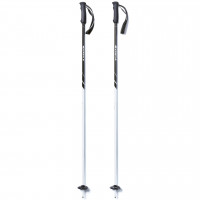 Палки горнолыжные Kästle Allday Ti100
