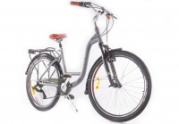 Велосипед Alpine Bike Costa 26" серый рама: M (2022)