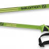 Палки горнолыжные Salomon Arctic green - Палки горнолыжные Salomon Arctic green