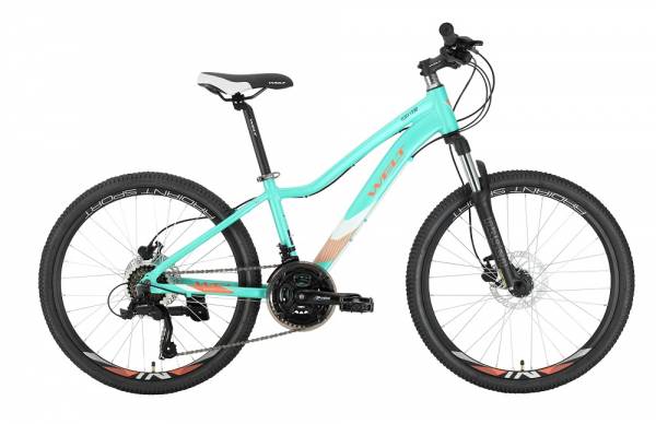 Schwinn deelite discount mint