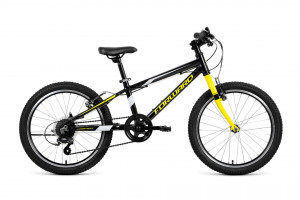 Велосипед Forward Rise 20 2.0 черный/желтый (2022) 
