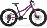 Велосипед Merida Matts J.20+ Purple/BlackChampagne (2022)