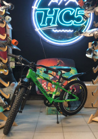 Велосипед Schwinn Thrasher 20" green (Демо-товар, состояние идеальное)