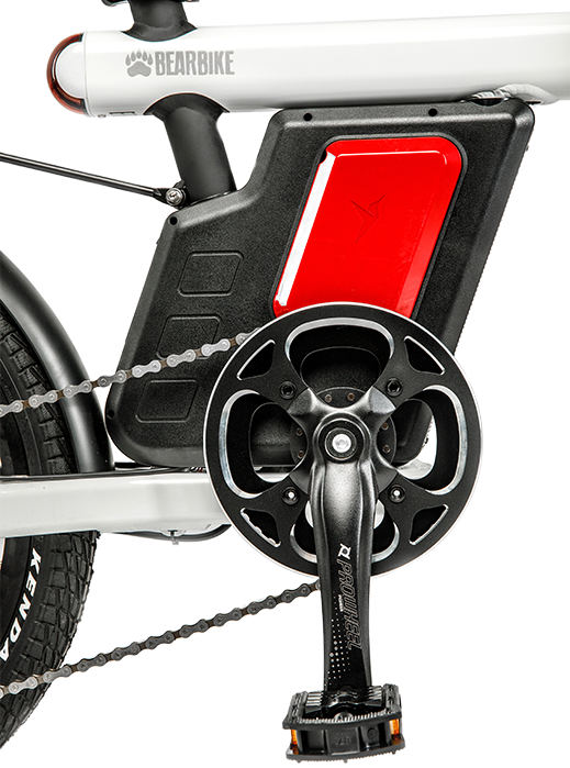 Bear Bike Vienna 20 2021 HC5