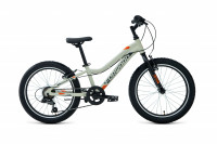 Велосипед Forward Twister 20 1.0 серый/оранжевый (2022)