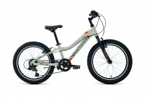 Велосипед Forward Twister 20 1.0 серый/оранжевый (2022) 
