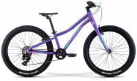 Велосипед Merida Matts J24+ Eco DarkPurple/PalePink/Teal (2021)