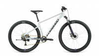 Велосипед Forward SPORTING 29 XX D серебристый/фиолетовый 17" (2022)