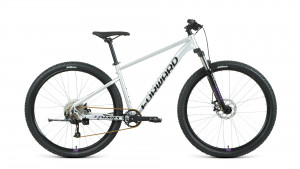 Велосипед Forward SPORTING 29 XX D серебристый/фиолетовый 17&quot; (2022) 