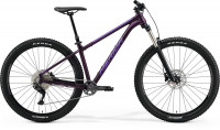 Велосипед Merida Big.Trail 400 29" SilkDarkPurple/Silver-Purple рама: S (15") (2022)