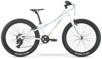 Велосипед Merida Matts J24+ Eco GlossyWhite/Teal/Gold (2021)