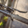 Велосипед Alpinebike Prime 9 29" серый рама: L/XL (ETT 651) (2026) - Велосипед Alpinebike Prime 9 29" серый рама: L/XL (ETT 651) (2026)