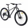 Велосипед Alpinebike Prime 9 29" серый рама: L/XL (ETT 651) (2026) - Велосипед Alpinebike Prime 9 29" серый рама: L/XL (ETT 651) (2026)