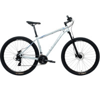 Велосипед Welt Raven 1.0 HD 29 Anthracite рама: 18" (2024)