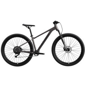 Велосипед Alpinebike Prime 9 29" серый рама: M/L (ETT 621) (2026) 