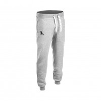 Брюки спортивные утепленные Mad Guy Casual SR серые