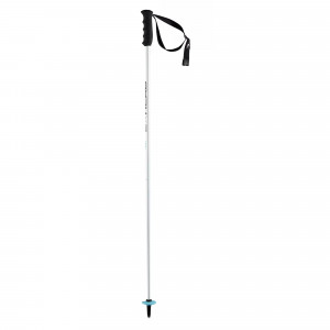 Палки горнолыжные Head Worldcup SL JR white/black/speed blue (381083) 
