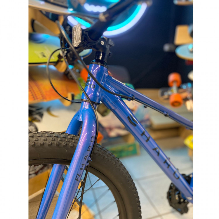 Haro Flightline 24 Plus DS Chameleon 2021 2023