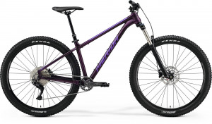 Велосипед Merida Big.Trail 400 29&quot; SilkDarkPurple/Silver-Purple рама: M (16&quot;) (2022) 