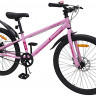 Велосипед Nameless Sport D 24" розовый рама: 12.2" (2026) - Велосипед Nameless Sport D 24" розовый рама: 12.2" (2026)