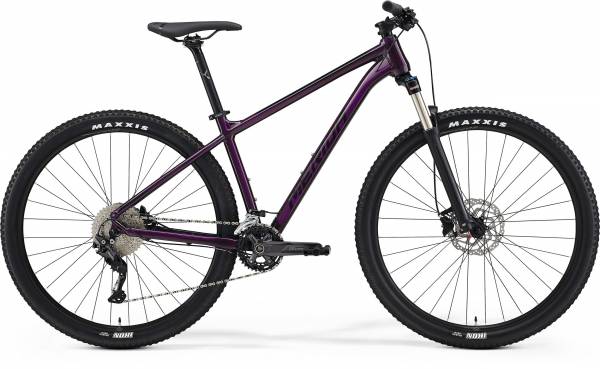 Big seven 300 merida online