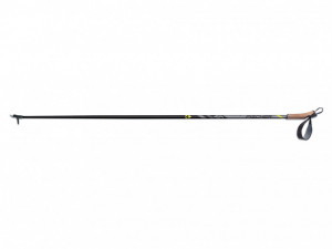 Палки для беговых лыж Fischer Superlight (Z44020) 