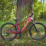 Велосипед Alpinebike Terra 8W 27.5" малиновый рама: M/L (ETT 610) (2026) - Велосипед Alpinebike Terra 8W 27.5" малиновый рама: M/L (ETT 610) (2026)