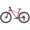 Велосипед Alpinebike Terra 8W 27.5" малиновый рама: M/L (ETT 610) (2026) - Велосипед Alpinebike Terra 8W 27.5" малиновый рама: M/L (ETT 610) (2026)