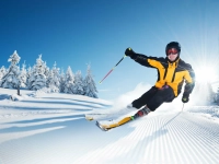 Горные лыжи эксперт мужские (цена за день)