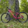 Велосипед Alpinebike Terra 8W 27.5" малиновый рама: S/M (ETT 585) (2026) - Велосипед Alpinebike Terra 8W 27.5" малиновый рама: S/M (ETT 585) (2026)