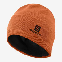 Шапка SALOMON BEANIE UMBER (2020)