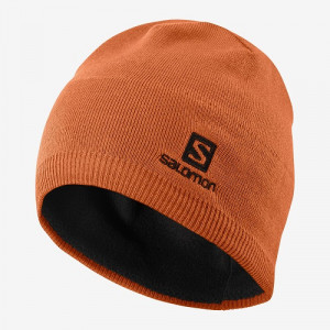 Шапка Salomon Beanie Umber (2020) 