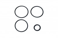 Набор резиновых уплотнений DT SWISS_Service Seal Kit TS for O32mm_FWKXXX0XXXX046061S