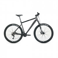 Велосипед Format 1422 29 темно-серый/черный рама: XL (2023)